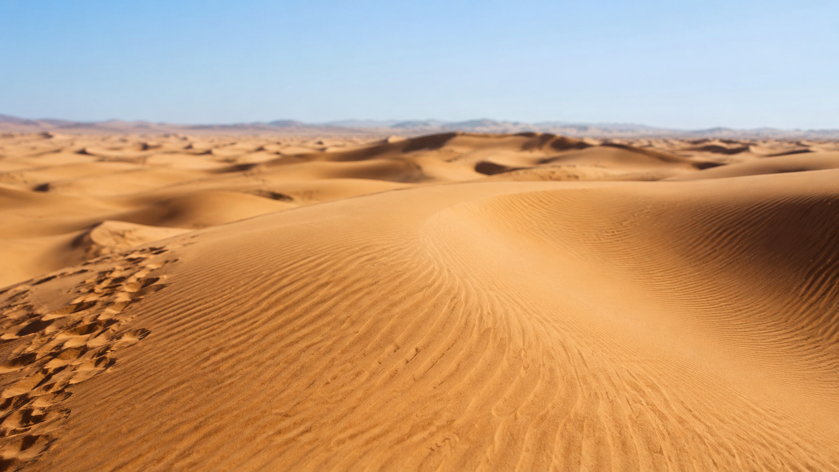 Photo professionnelle ultra réaliste du désert du Sahara avec dunes de sable dorées, ondulations naturelles au premier plan, ciel bleu dégagé et lumière ensoleillée, format 16/9.