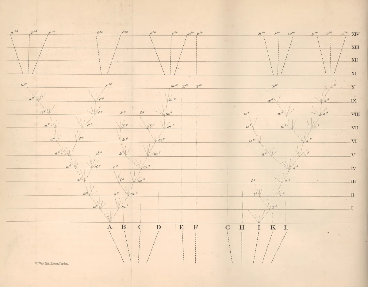 Diagramme de la divergence des espèces, seule illustration de la première édition de 1859