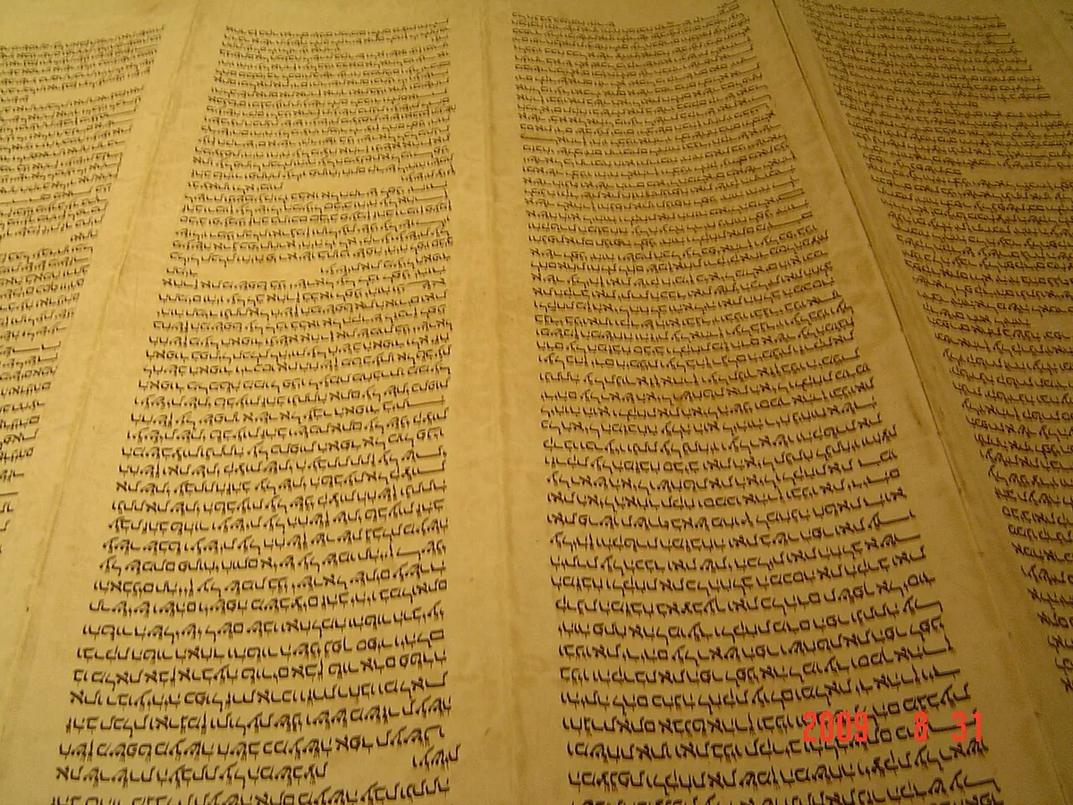 Rouleau de Torah ouvert montrant le texte hébreu manuscrit en colonnes sur parchemin